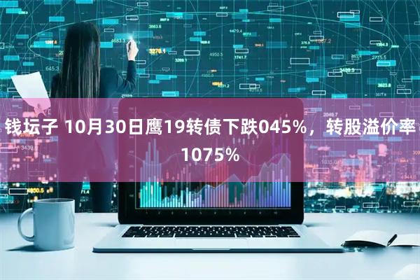 钱坛子 10月30日鹰19转债下跌045%，转股溢价率1075%